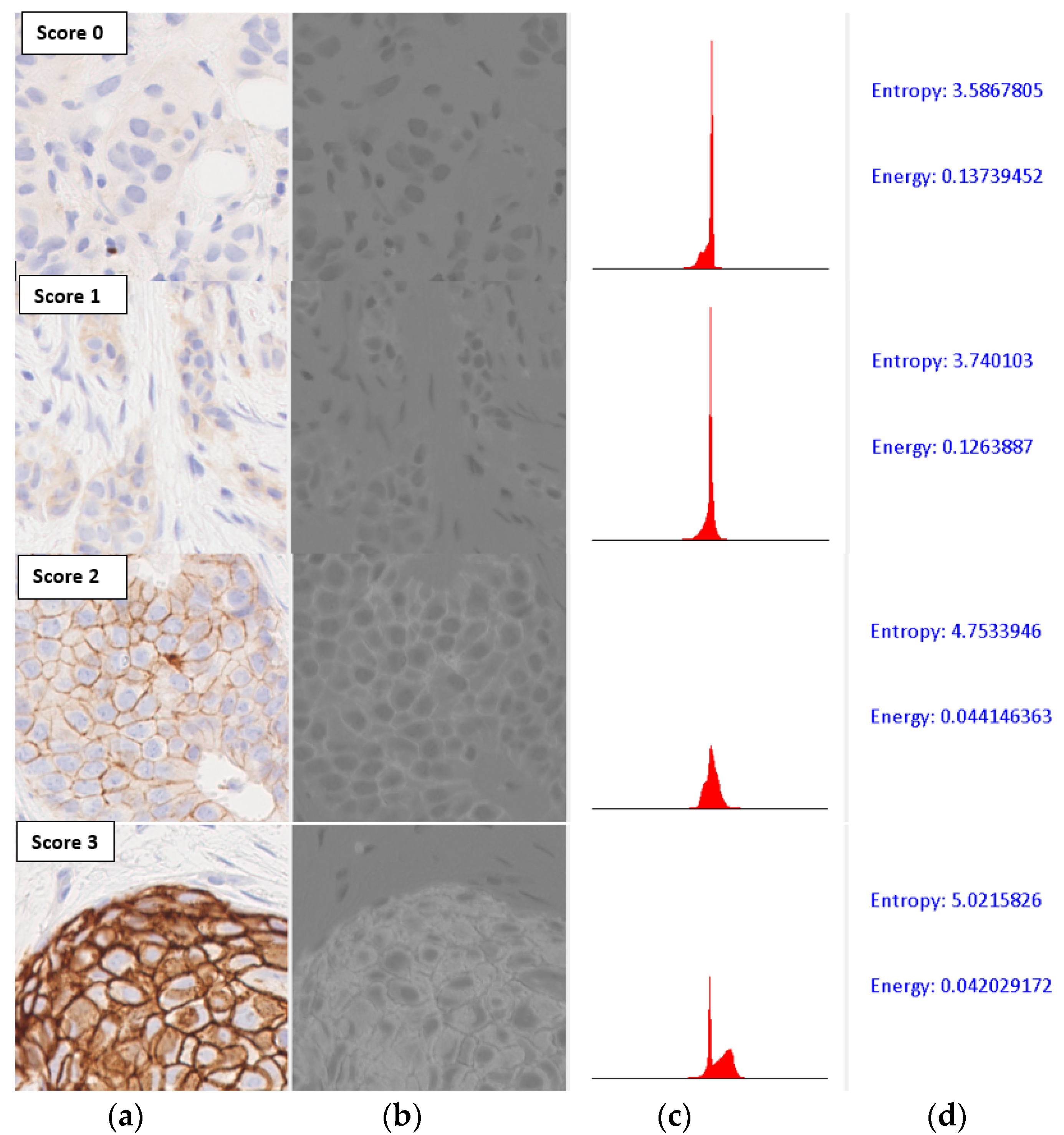 Jimaging 05 00035 g007