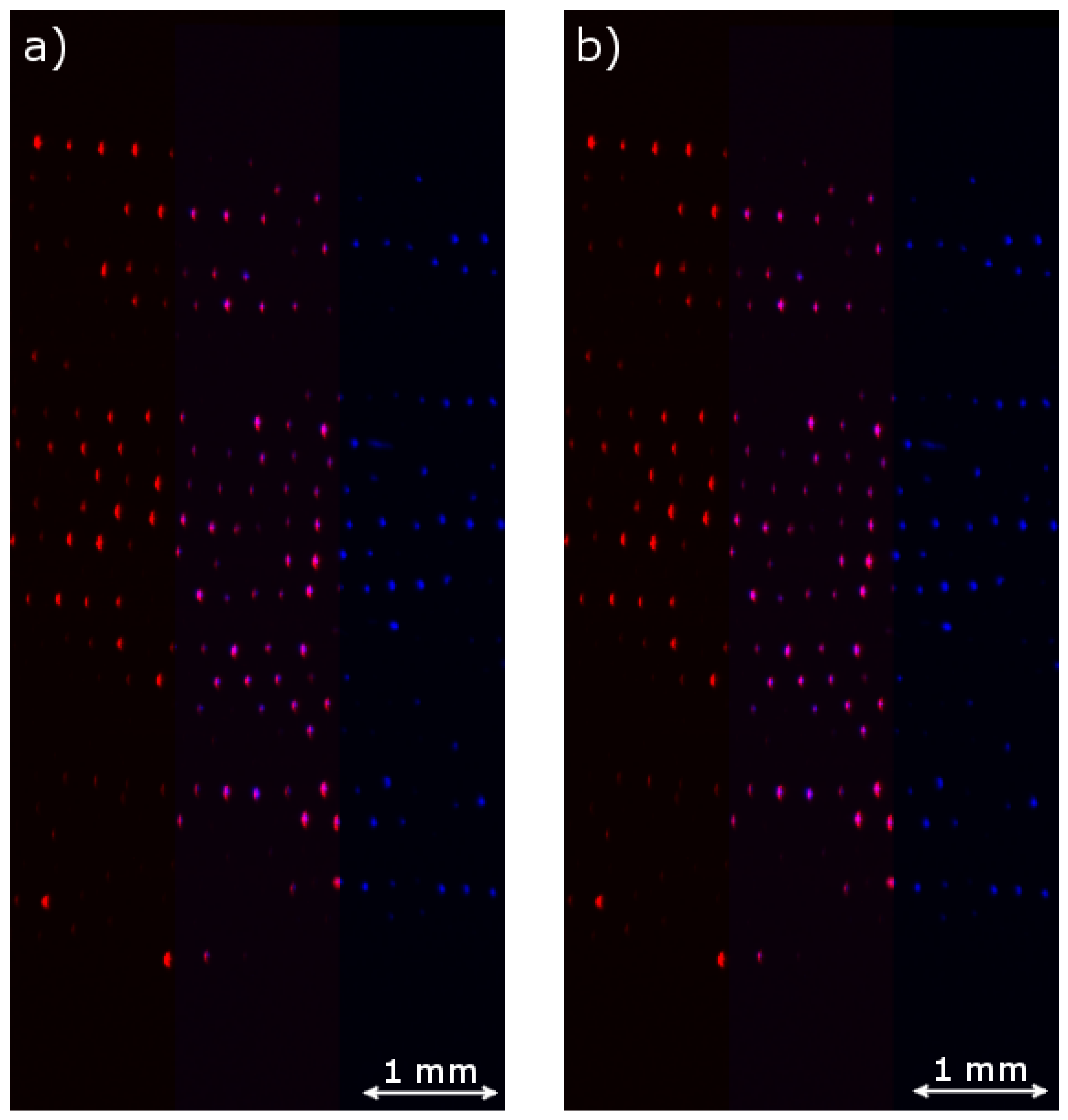 Jimaging 05 00039 g008 Jimaging 05 00039 g008