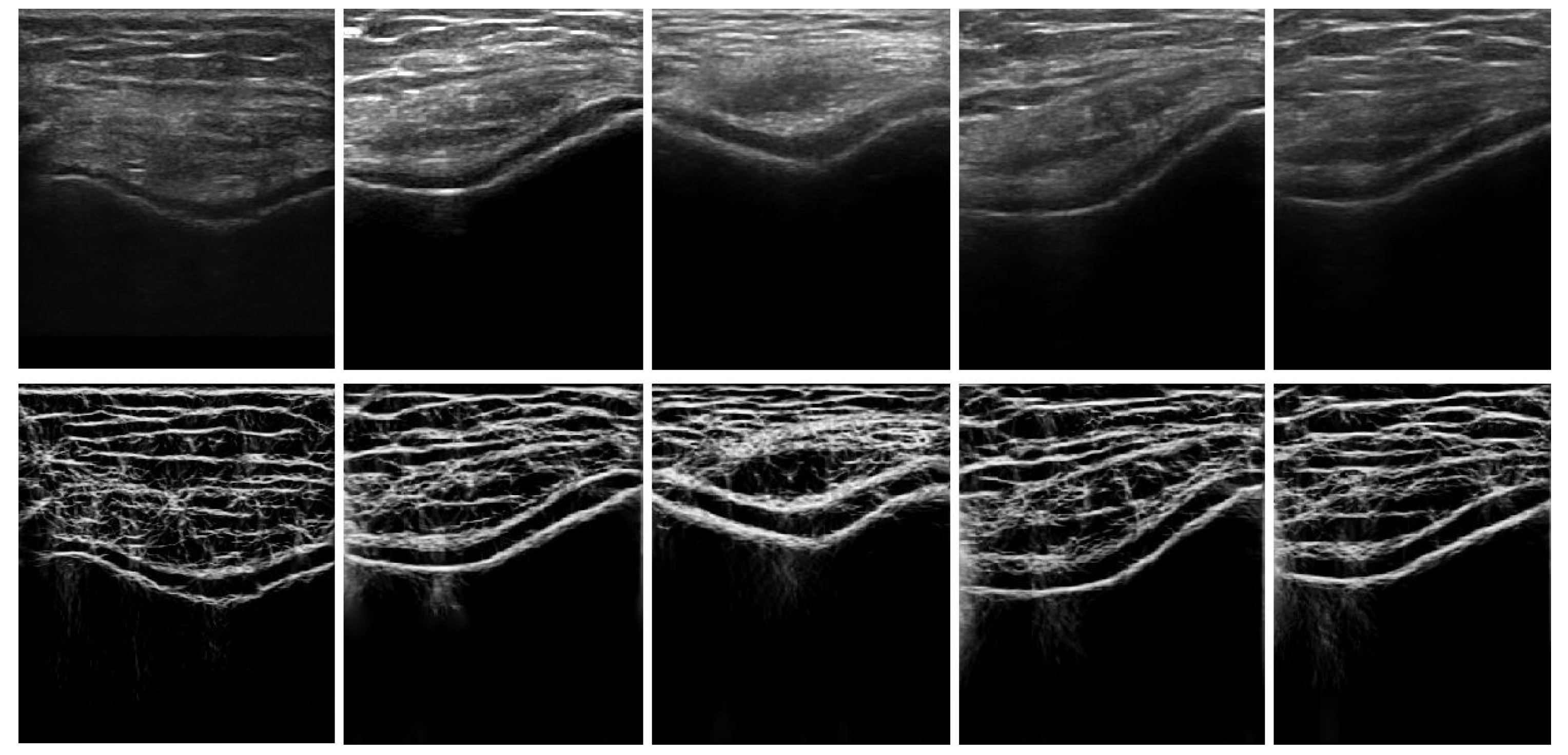 Jimaging 05 00043 g002