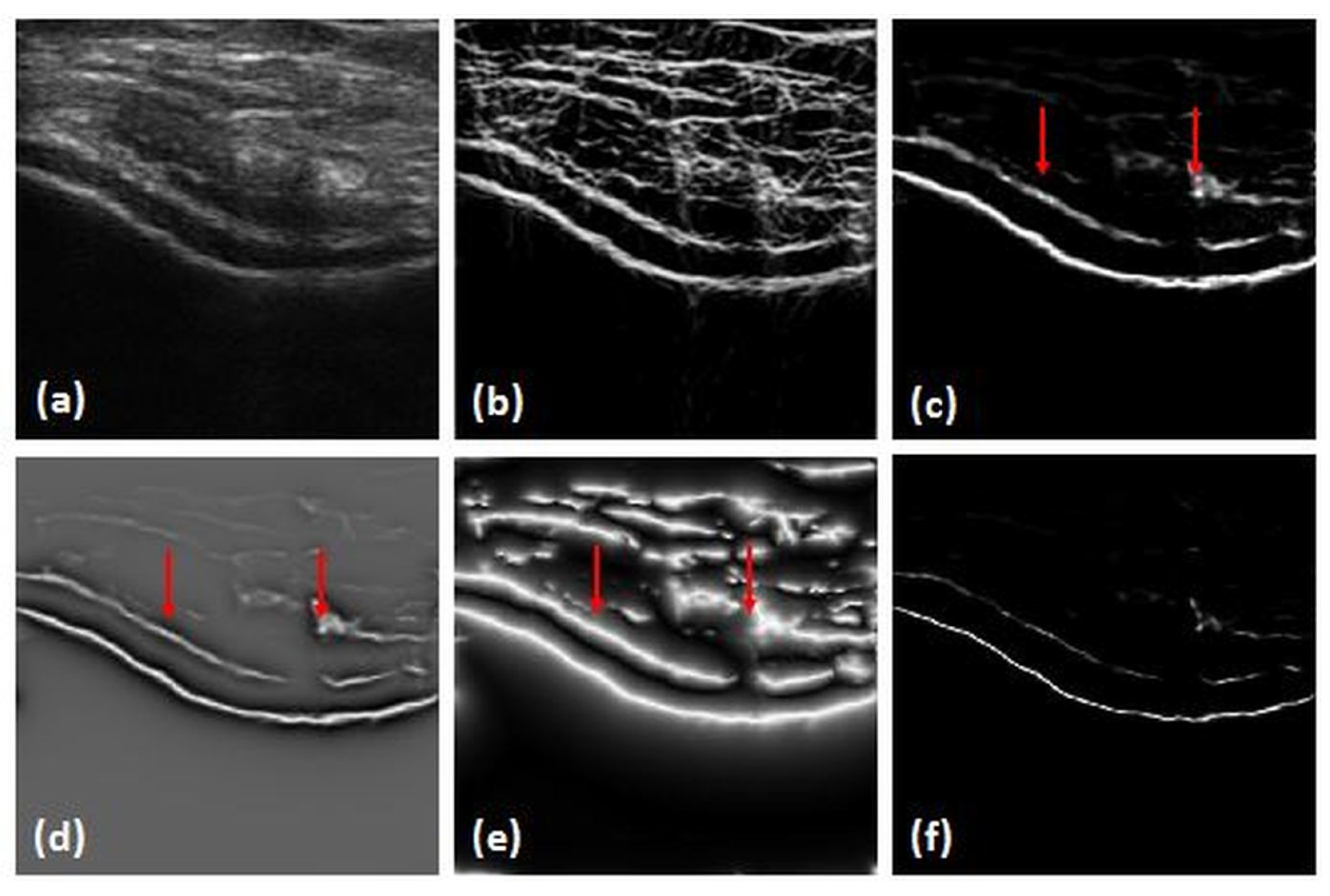 Jimaging 05 00043 g003