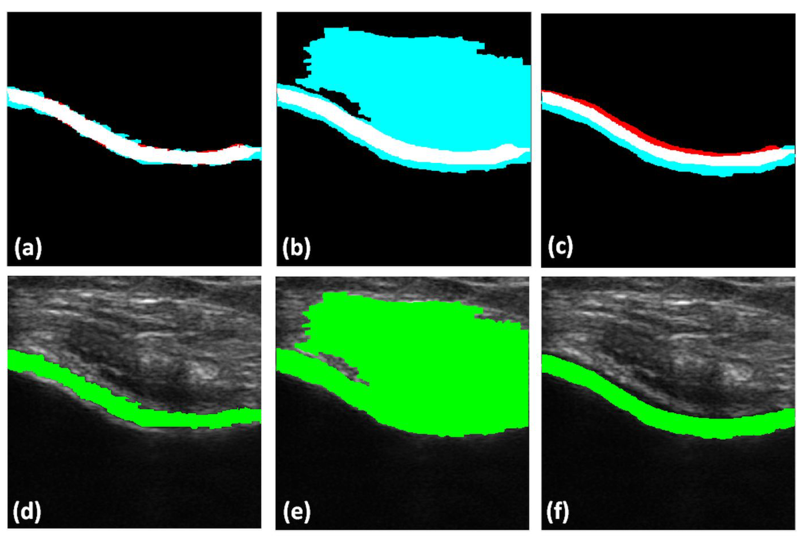 Jimaging 05 00043 g008