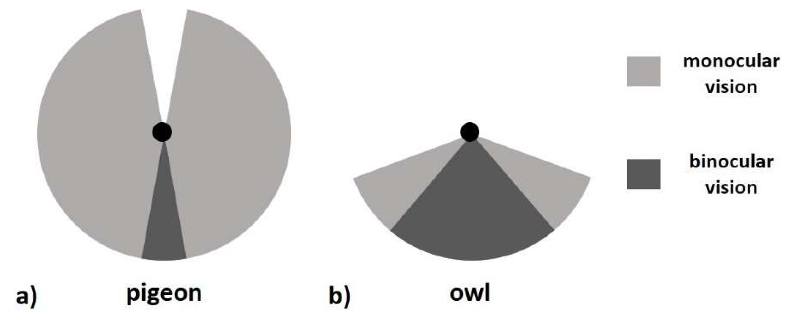 Jimaging 05 00046 g009