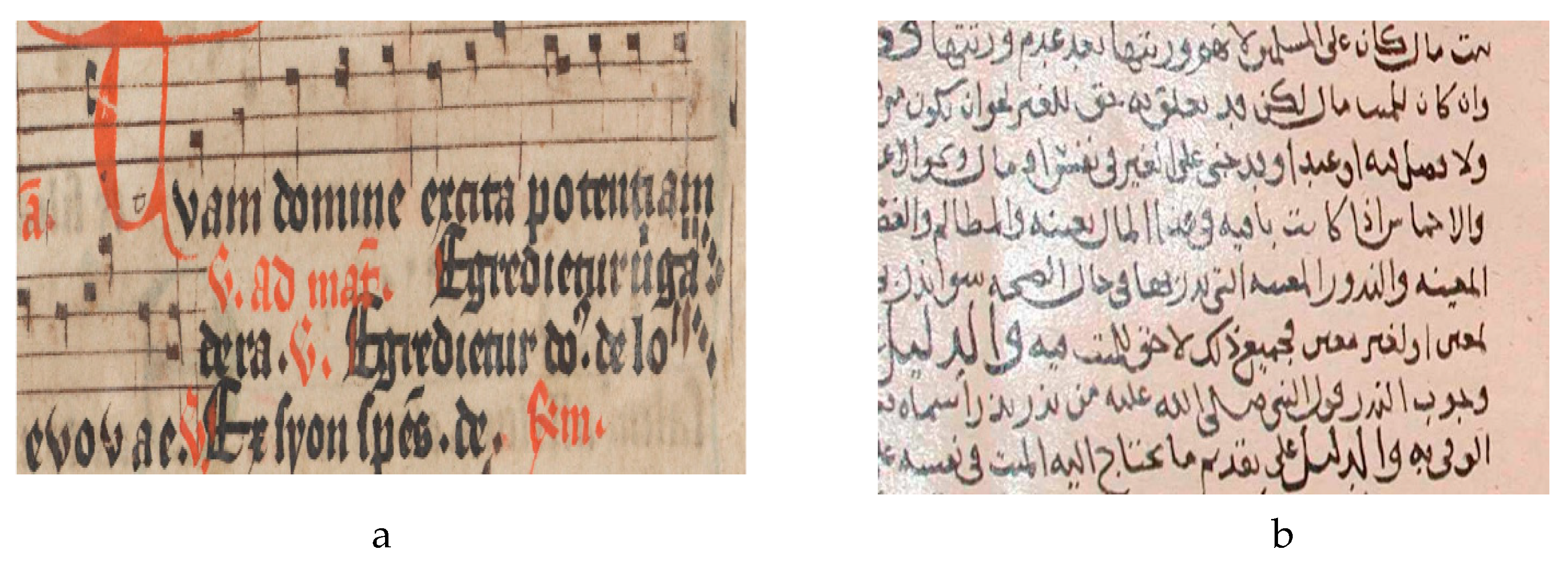 Jimaging 05 00048 g001