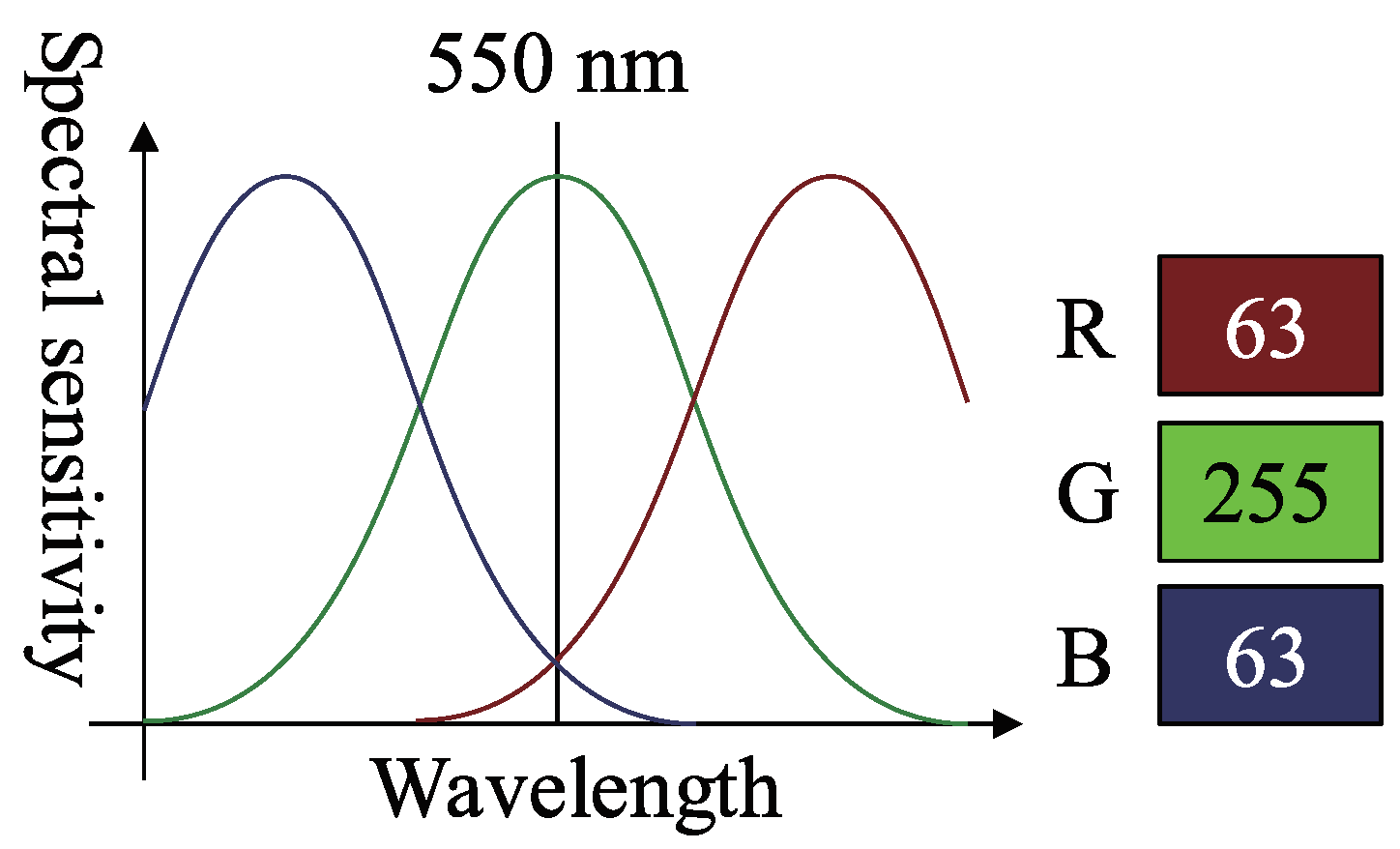 Jimaging 05 00064 g005