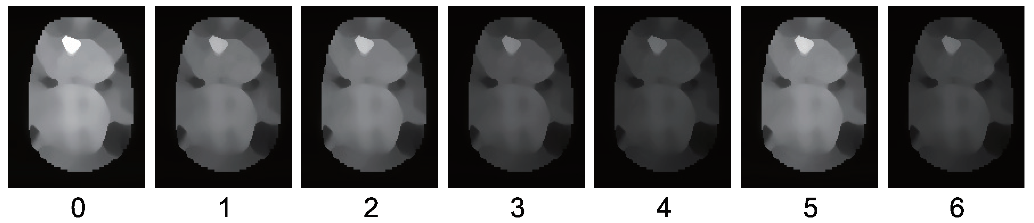 Jimaging 05 00064 g017