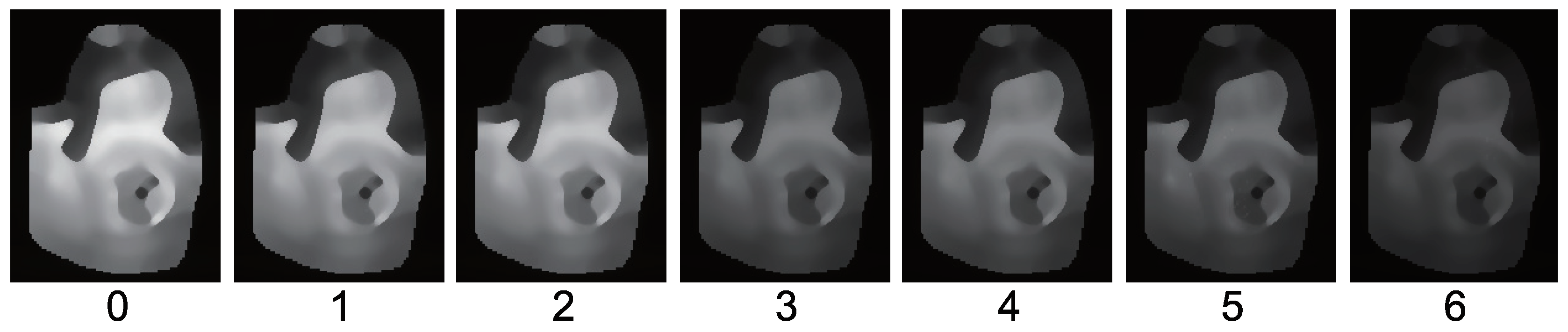 Jimaging 05 00064 g020