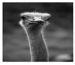 Jimaging 05 00071 i013 Jimaging 05 00071 i013