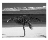 Jimaging 05 00071 i017 Jimaging 05 00071 i017