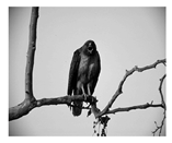 Jimaging 05 00071 i021 Jimaging 05 00071 i021