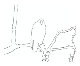 Jimaging 05 00071 i022 Jimaging 05 00071 i022