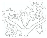 Jimaging 05 00071 i026 Jimaging 05 00071 i026