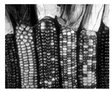 Jimaging 05 00071 i027 Jimaging 05 00071 i027