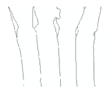 Jimaging 05 00071 i028 Jimaging 05 00071 i028