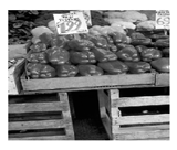 Jimaging 05 00071 i029 Jimaging 05 00071 i029