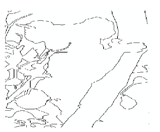 Jimaging 05 00071 i036 Jimaging 05 00071 i036