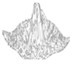 Jimaging 05 00071 i056 Jimaging 05 00071 i056