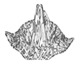 Jimaging 05 00071 i058 Jimaging 05 00071 i058