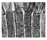 Jimaging 05 00071 i081 Jimaging 05 00071 i081