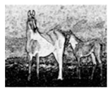 Jimaging 05 00071 i084 Jimaging 05 00071 i084