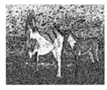 Jimaging 05 00071 i086 Jimaging 05 00071 i086