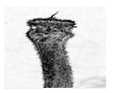 Jimaging 05 00071 i096 Jimaging 05 00071 i096