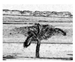 Jimaging 05 00071 i100 Jimaging 05 00071 i100