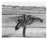 Jimaging 05 00071 i101 Jimaging 05 00071 i101