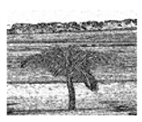 Jimaging 05 00071 i102 Jimaging 05 00071 i102