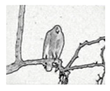 Jimaging 05 00071 i103 Jimaging 05 00071 i103