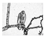 Jimaging 05 00071 i104 Jimaging 05 00071 i104