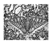 Jimaging 05 00071 i110 Jimaging 05 00071 i110