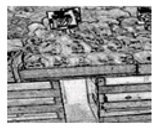 Jimaging 05 00071 i113 Jimaging 05 00071 i113