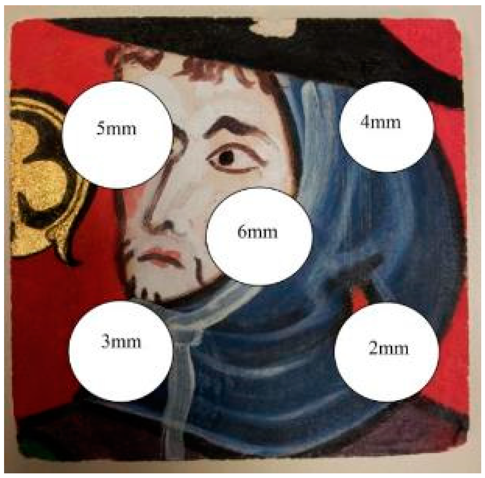 Jimaging 05 00072 g011