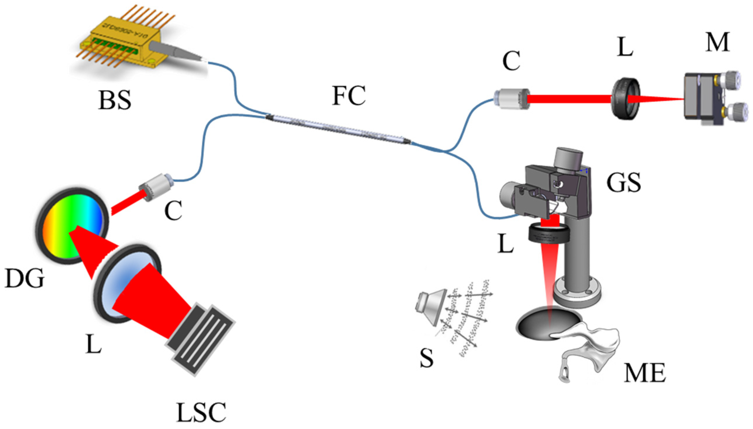 Jimaging 05 00074 g001 Jimaging 05 00074 g001
