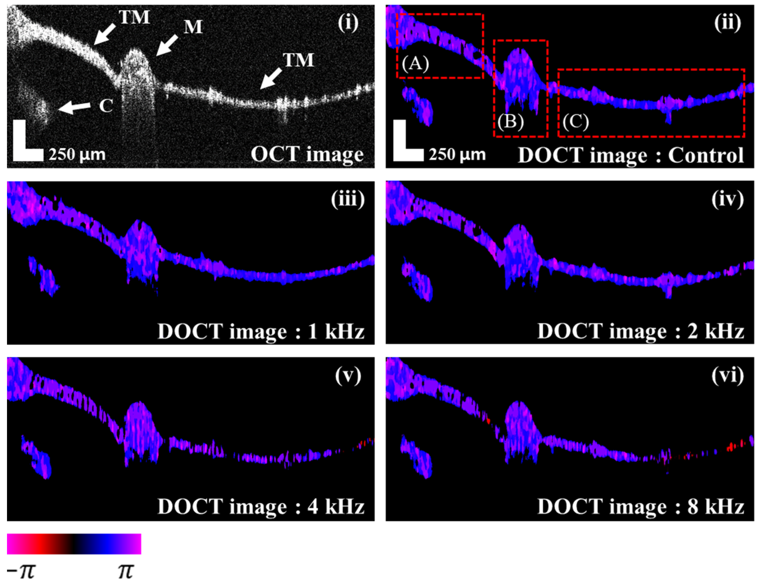 Jimaging 05 00074 g003 Jimaging 05 00074 g003