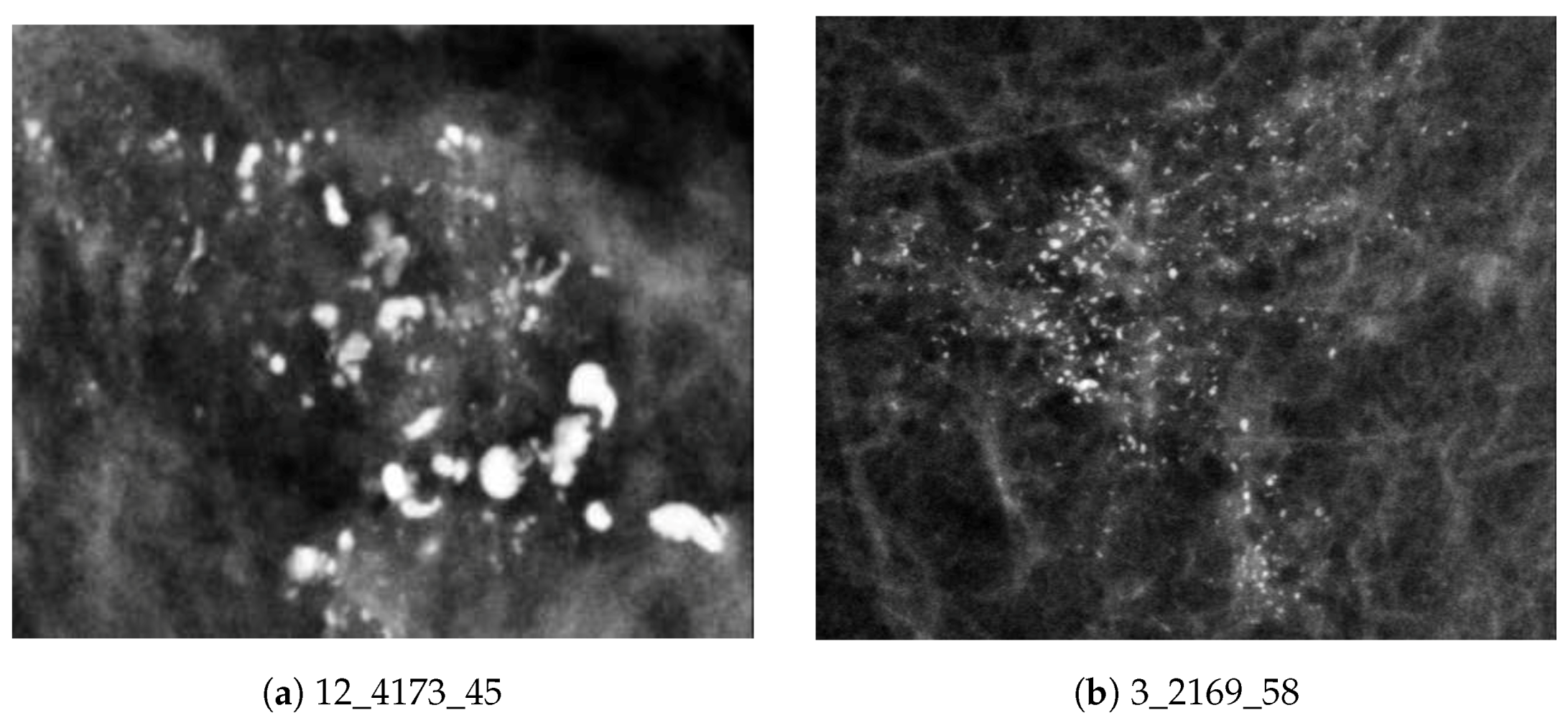 Jimaging 05 00076 g001