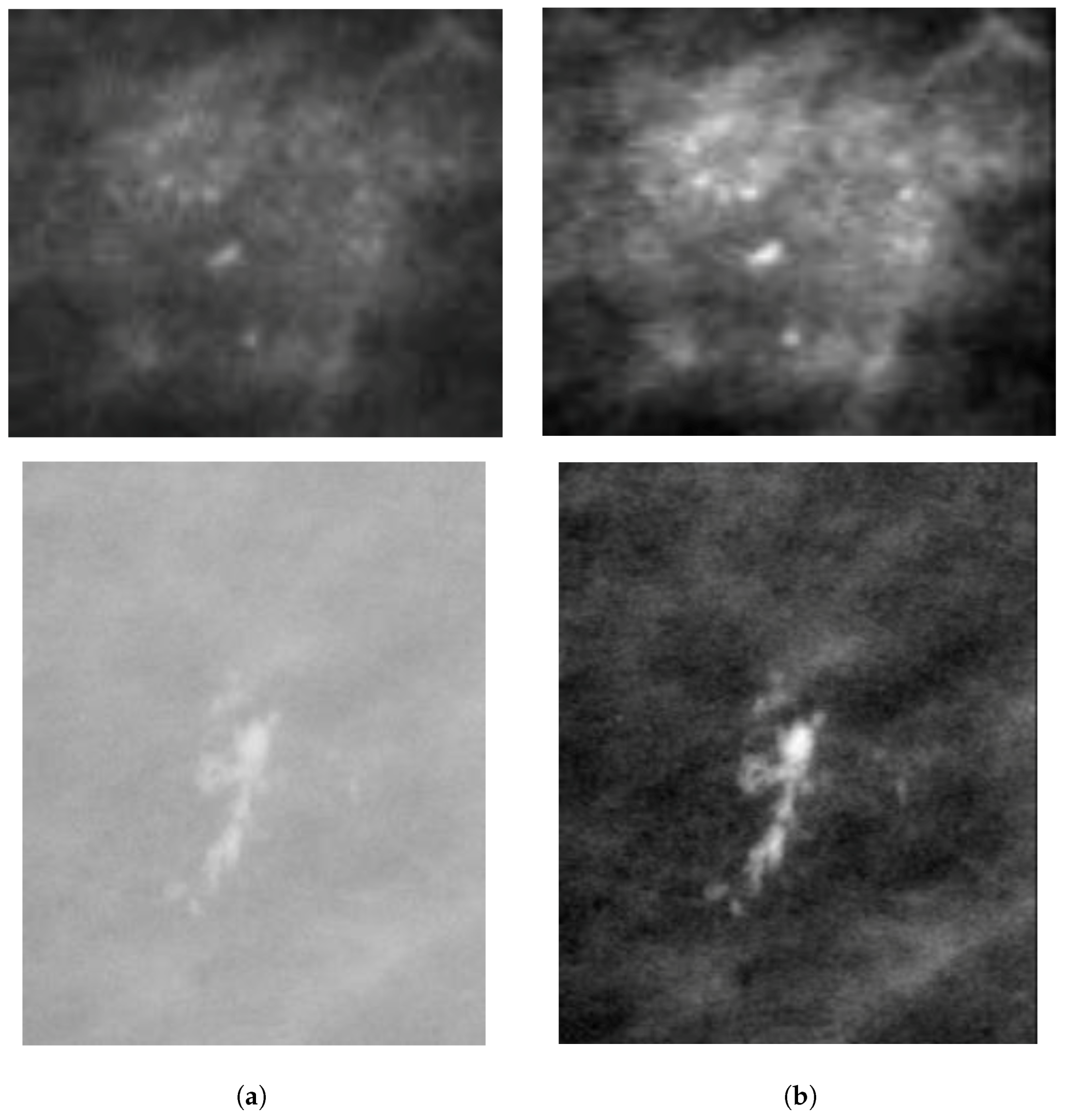 Jimaging 05 00076 g003