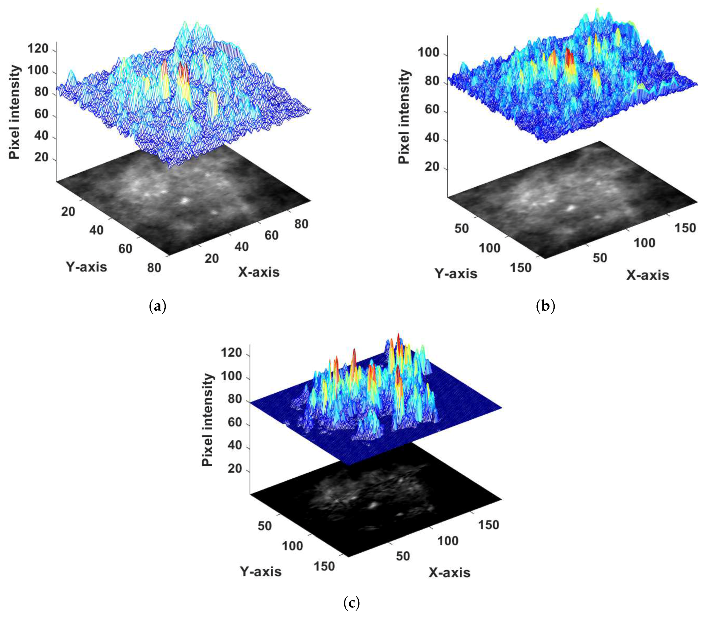 Jimaging 05 00076 g004