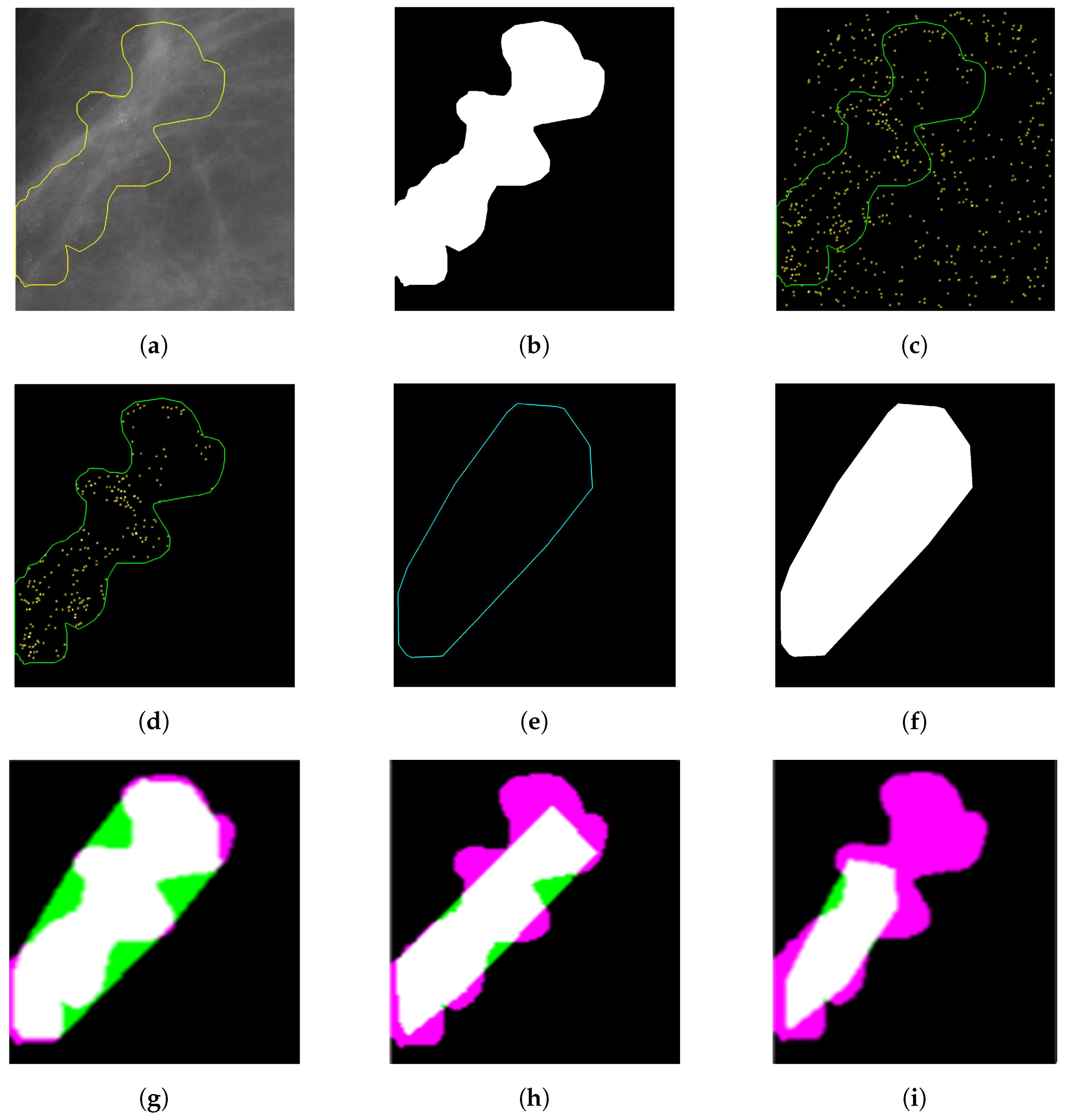 Jimaging 05 00076 g008