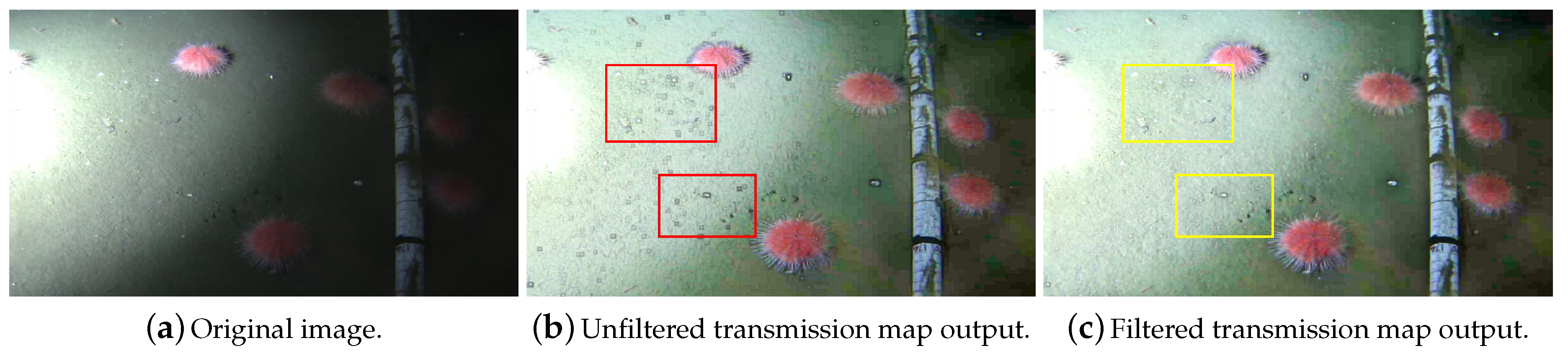 Jimaging 05 00079 g003 Jimaging 05 00079 g003