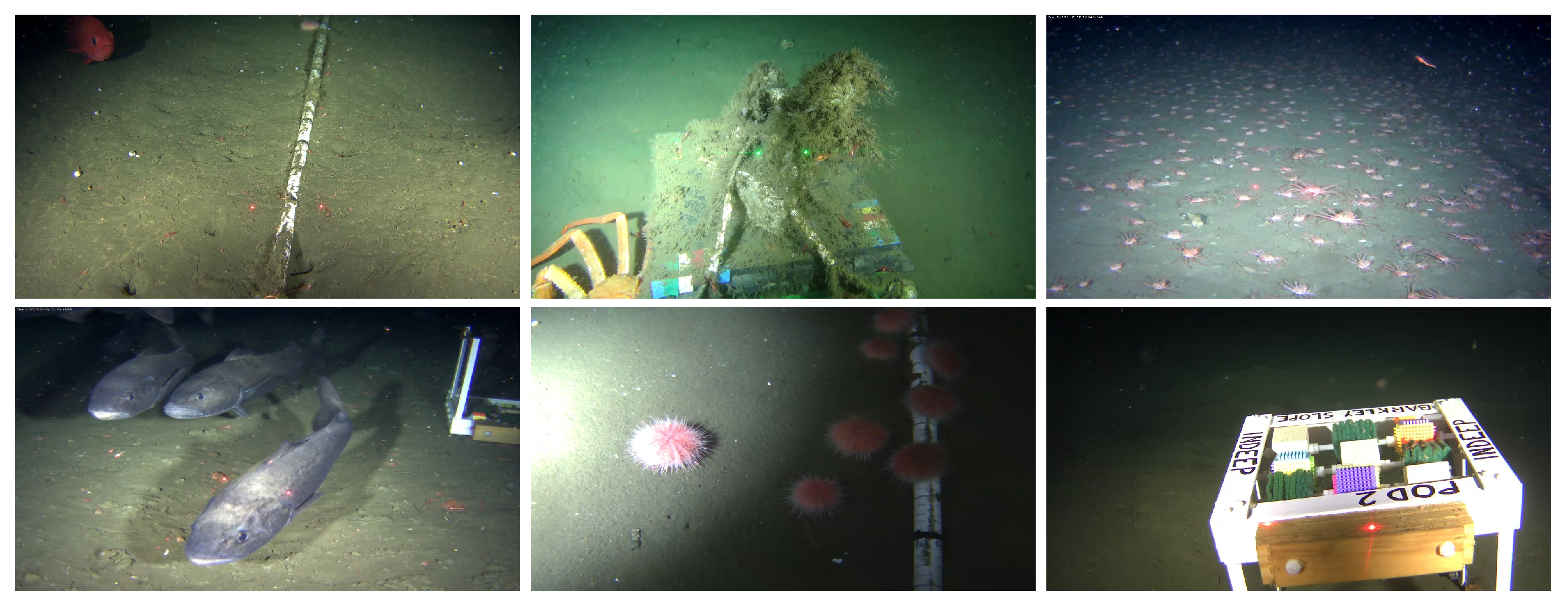 Jimaging 05 00079 g005 Jimaging 05 00079 g005