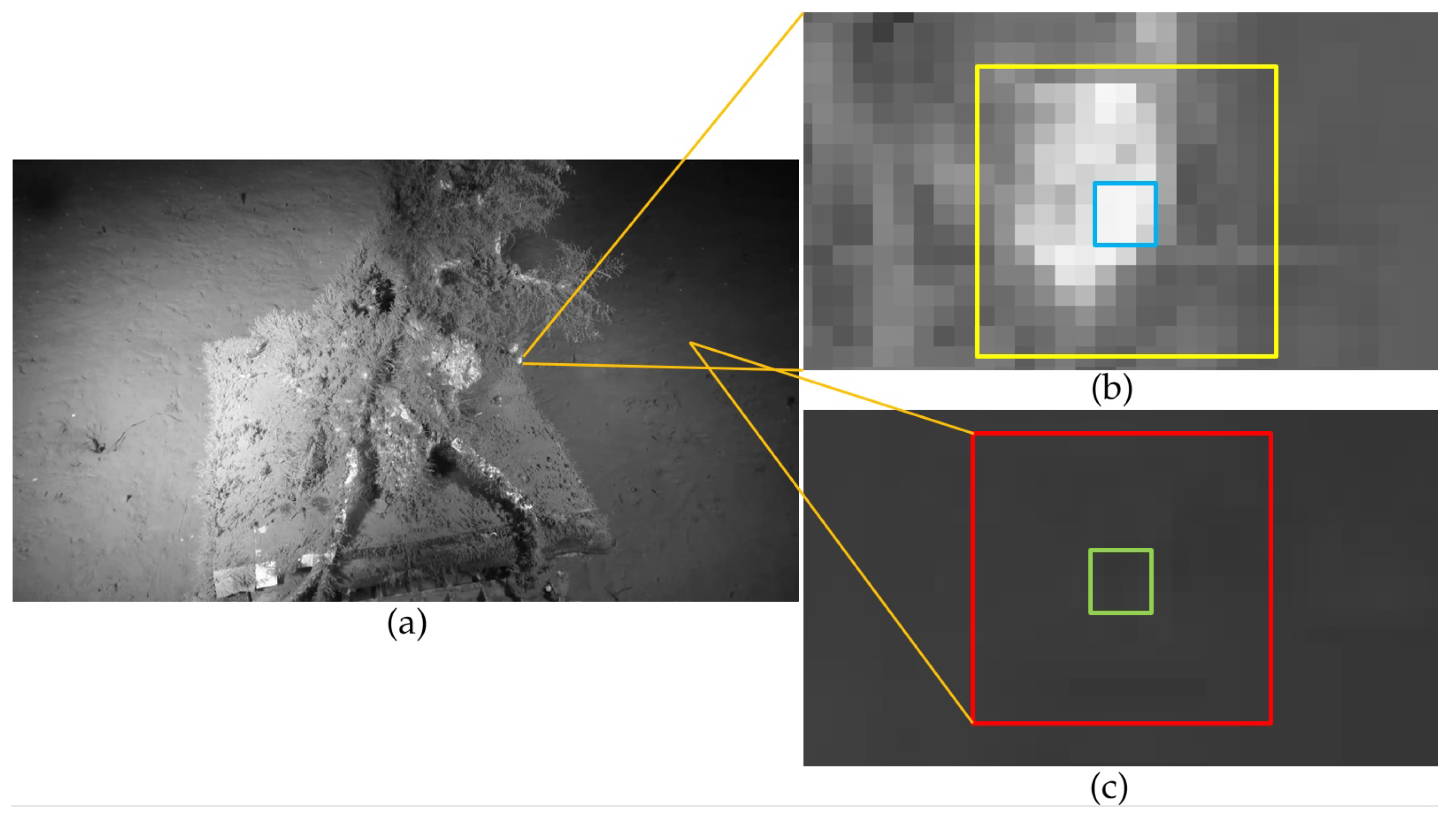Jimaging 05 00079 g006 Jimaging 05 00079 g006