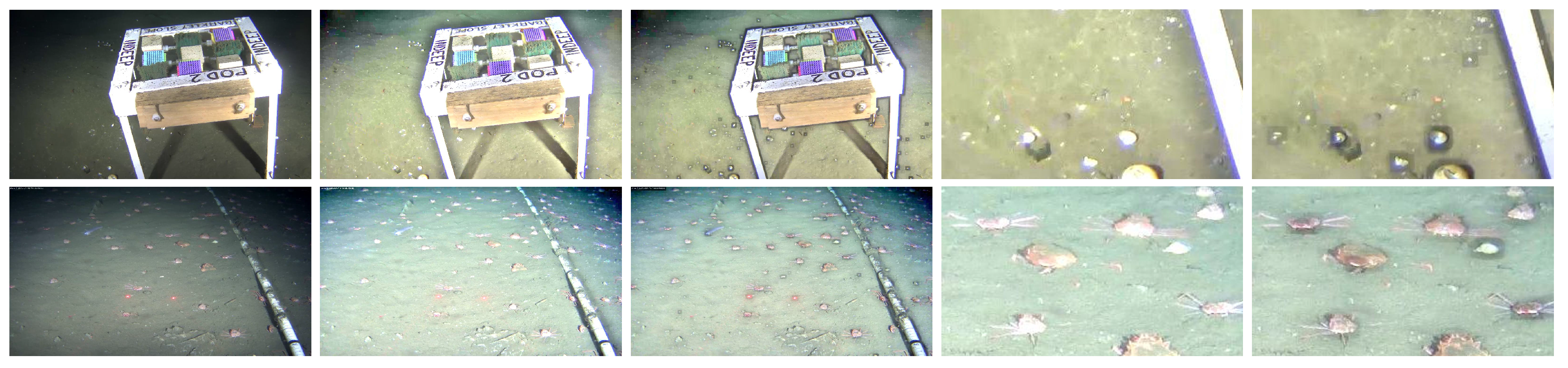 Jimaging 05 00079 g008 Jimaging 05 00079 g008