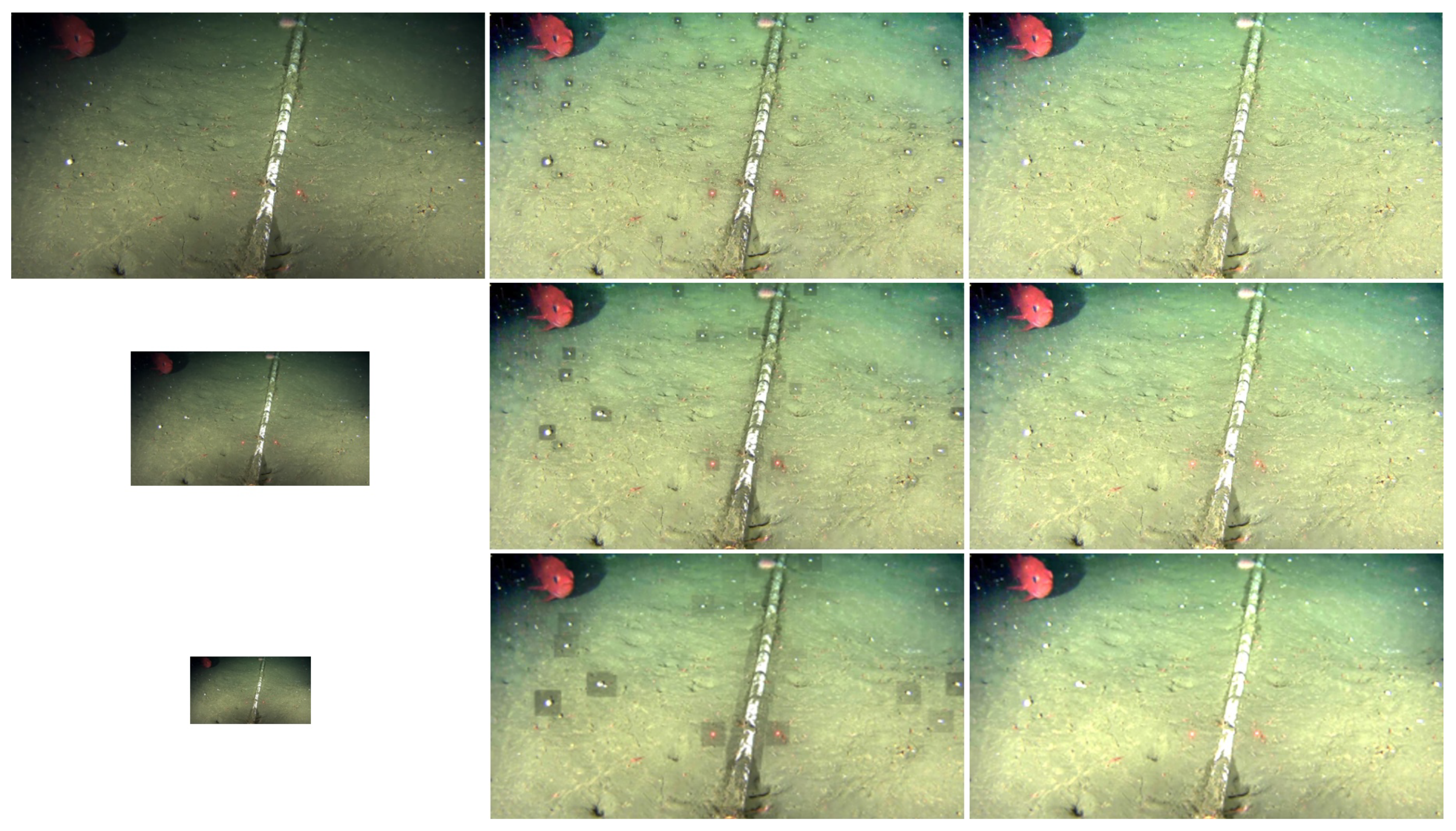 Jimaging 05 00079 g009 Jimaging 05 00079 g009