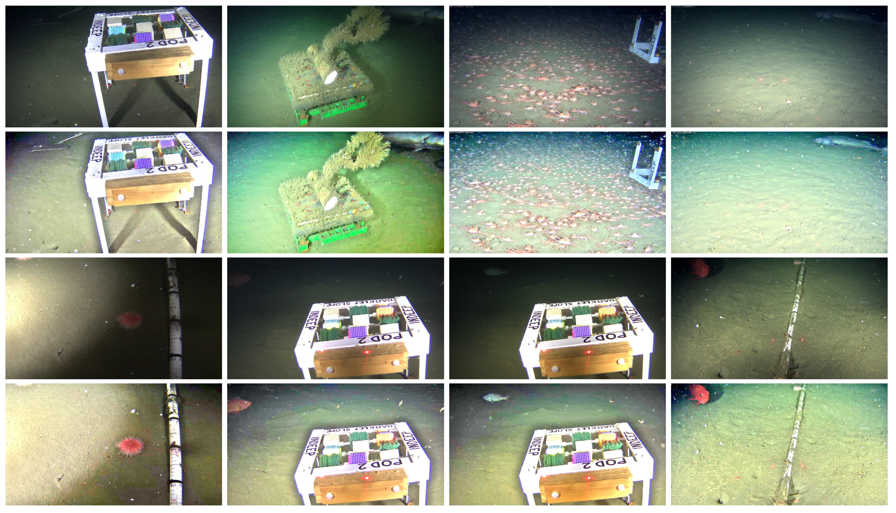 Jimaging 05 00079 g010 Jimaging 05 00079 g010