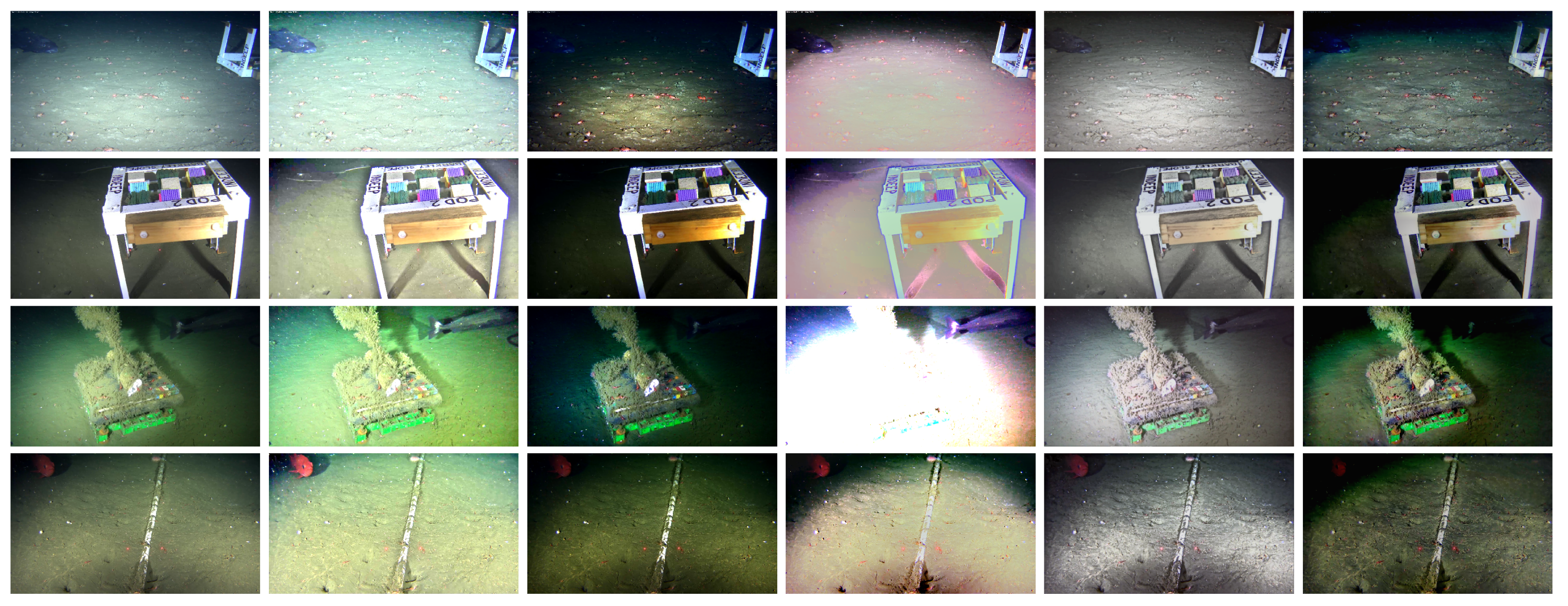 Jimaging 05 00079 g011 Jimaging 05 00079 g011