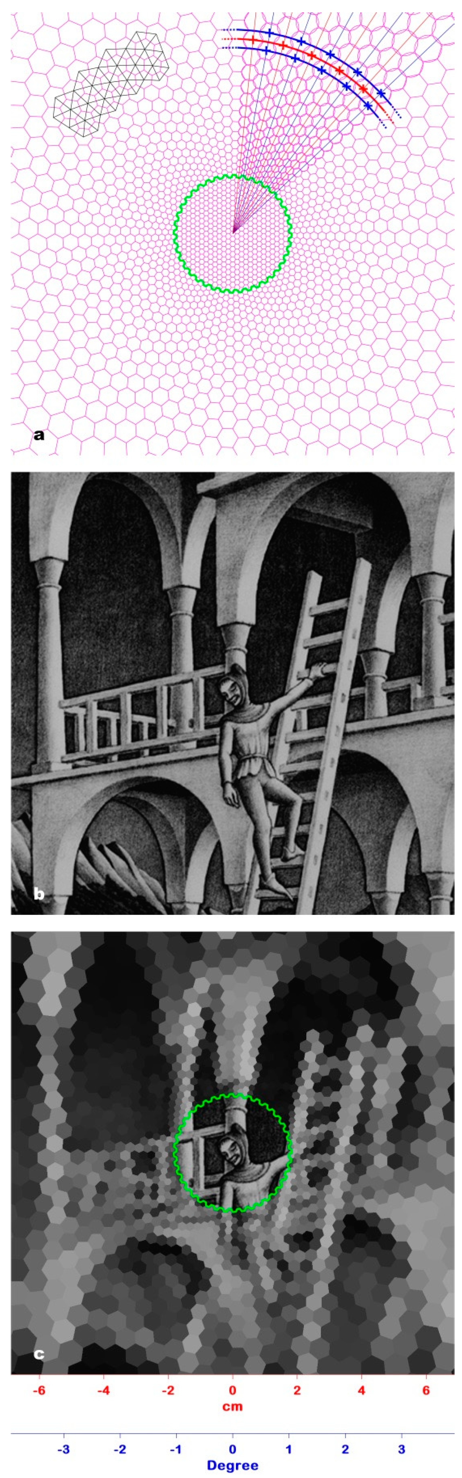 Jimaging 06 00005 g002