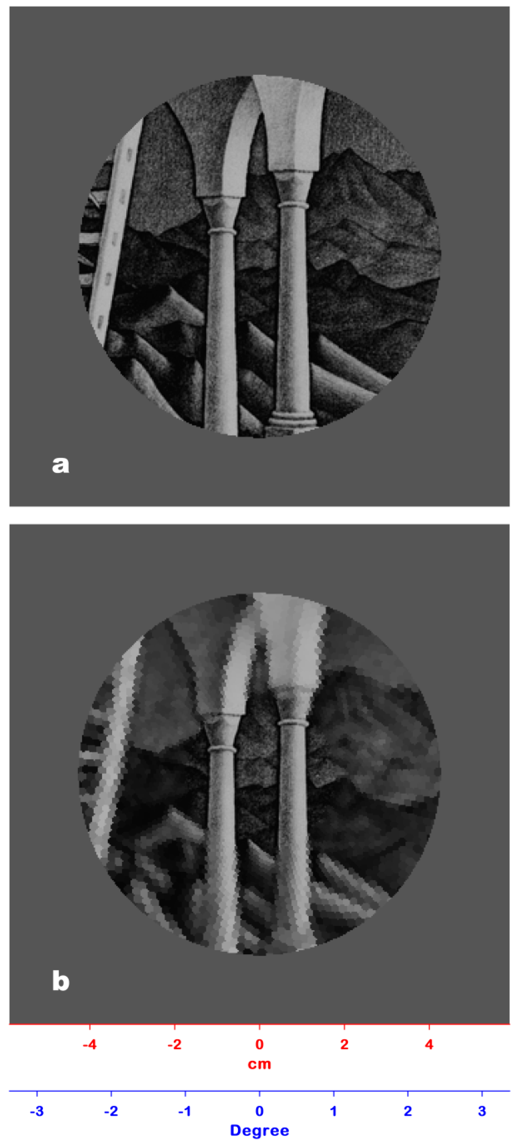 Jimaging 06 00005 g004