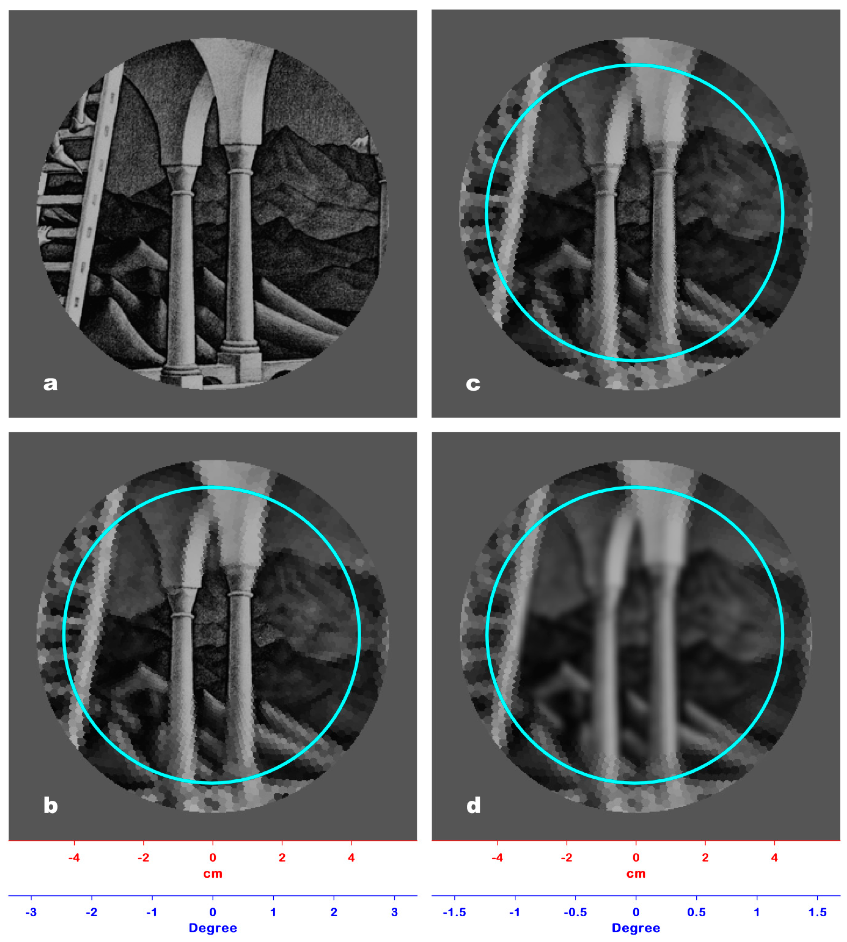 Jimaging 06 00005 g005