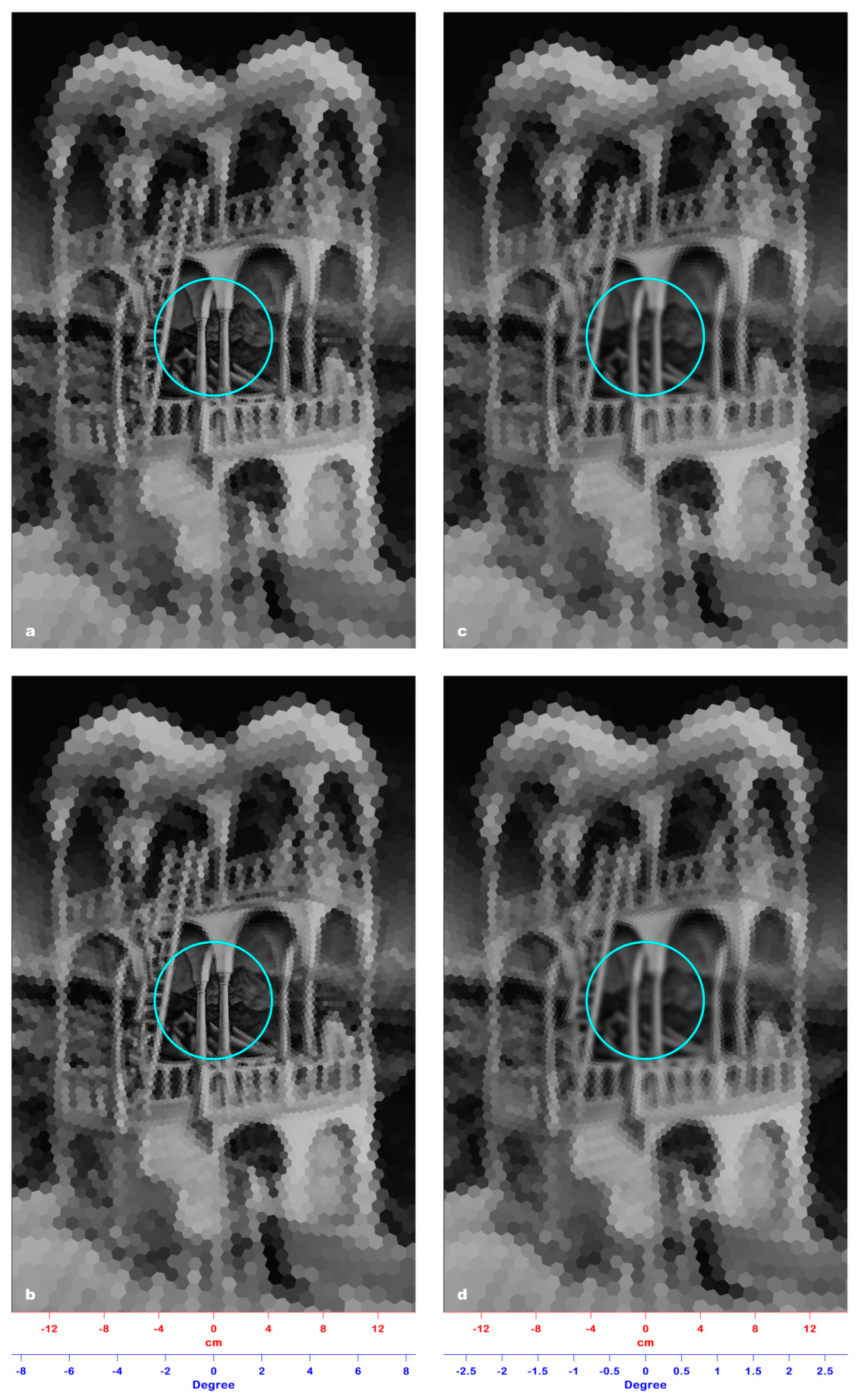 Jimaging 06 00005 g006